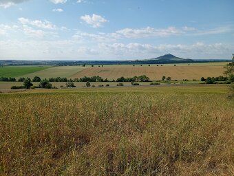 Nabízím k prodeji pozemek v k.ú. Jenčice, p.č. 325/díl 2 o v