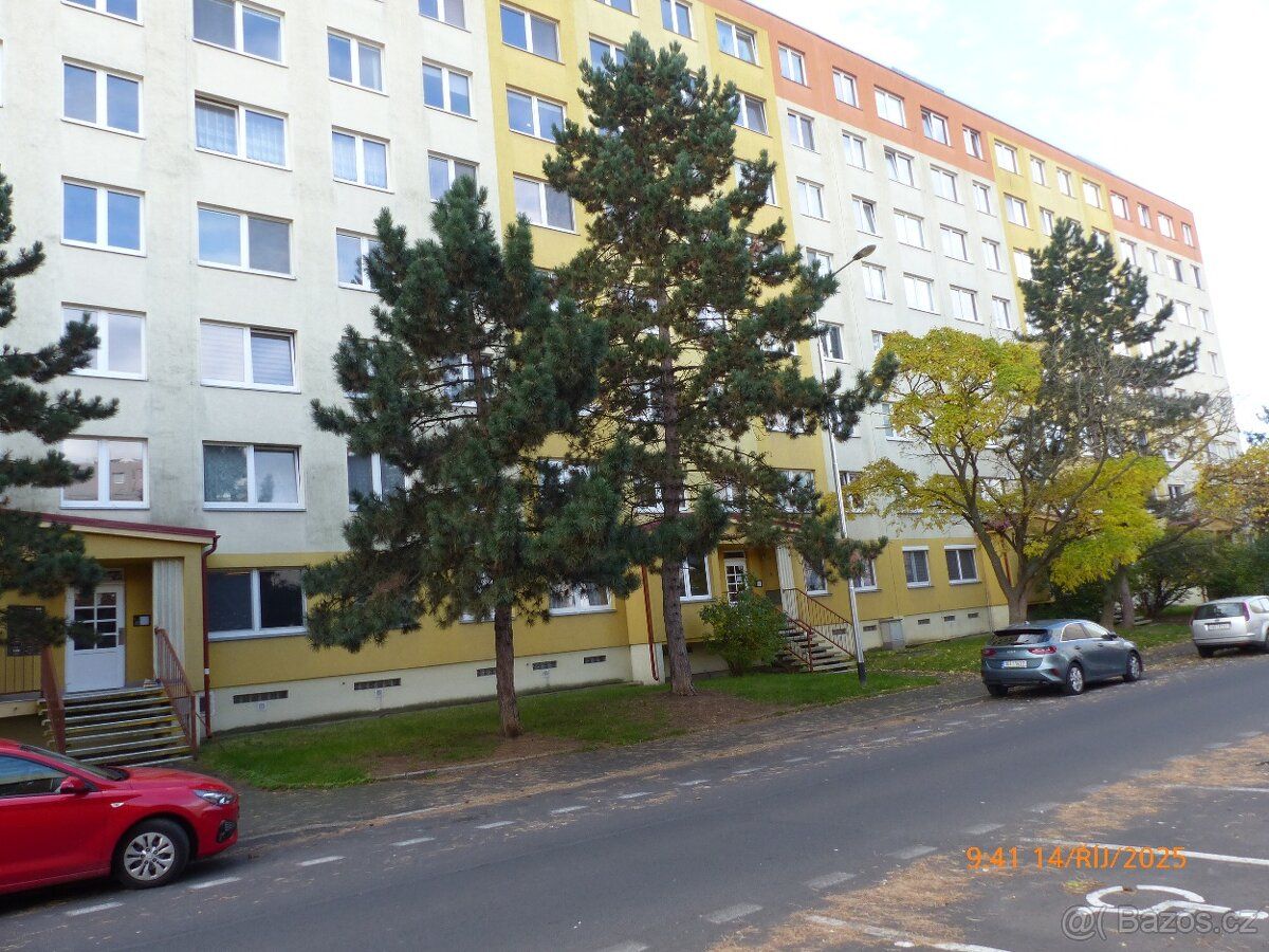 Pro investory bytů: Mám několik volných míst k nabrání nemov