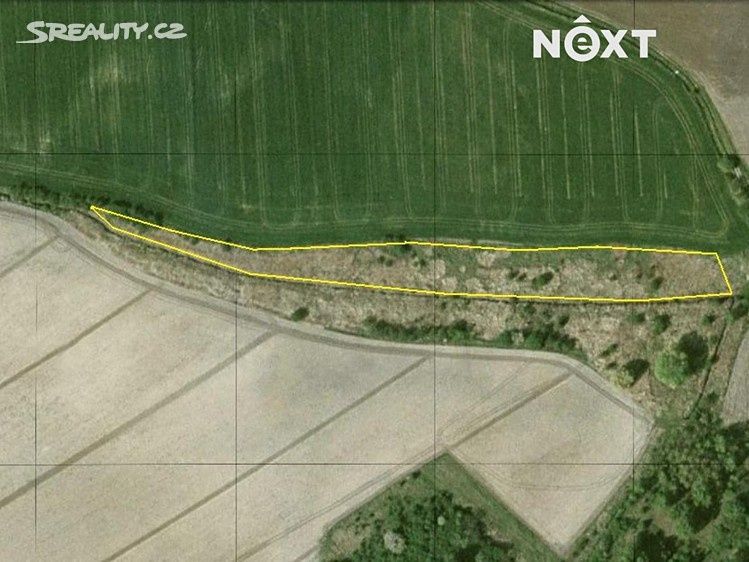 Pozemek je situován na severním břehu Jirenského potoka, výc