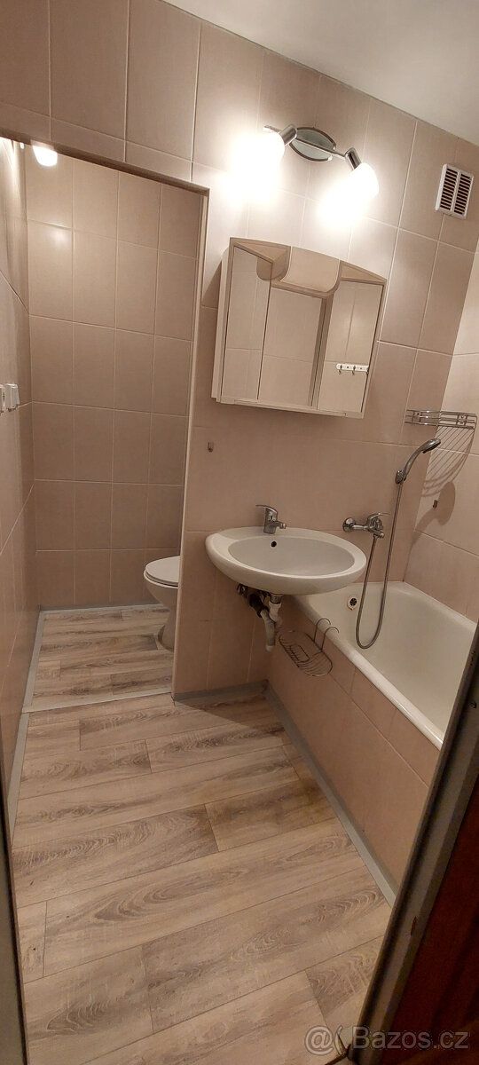 Nabízím pronájem bytu 1+1+L 43m2 Slunný byt. Nájemné 6tis. +