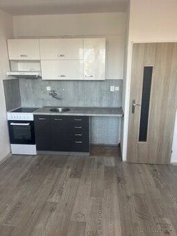 Nabízím pronájem bytu 1+1+L 43m2 Slunný byt. Nájemné 6tis. +