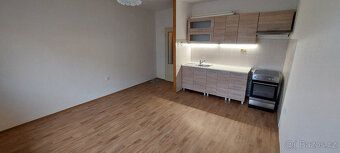 Nabízím pronájem bytu 1+1+L 43m2 Slunný byt. Nájemné 6tis. +