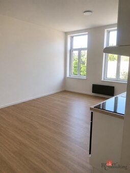 Pronájem, byty/1+kk, 43.31 m2, Křišťanova 791/6, Přívoz, 702