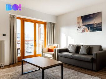 Nabízíme k prodeji světlý a prostorný apartmán o velikosti 2