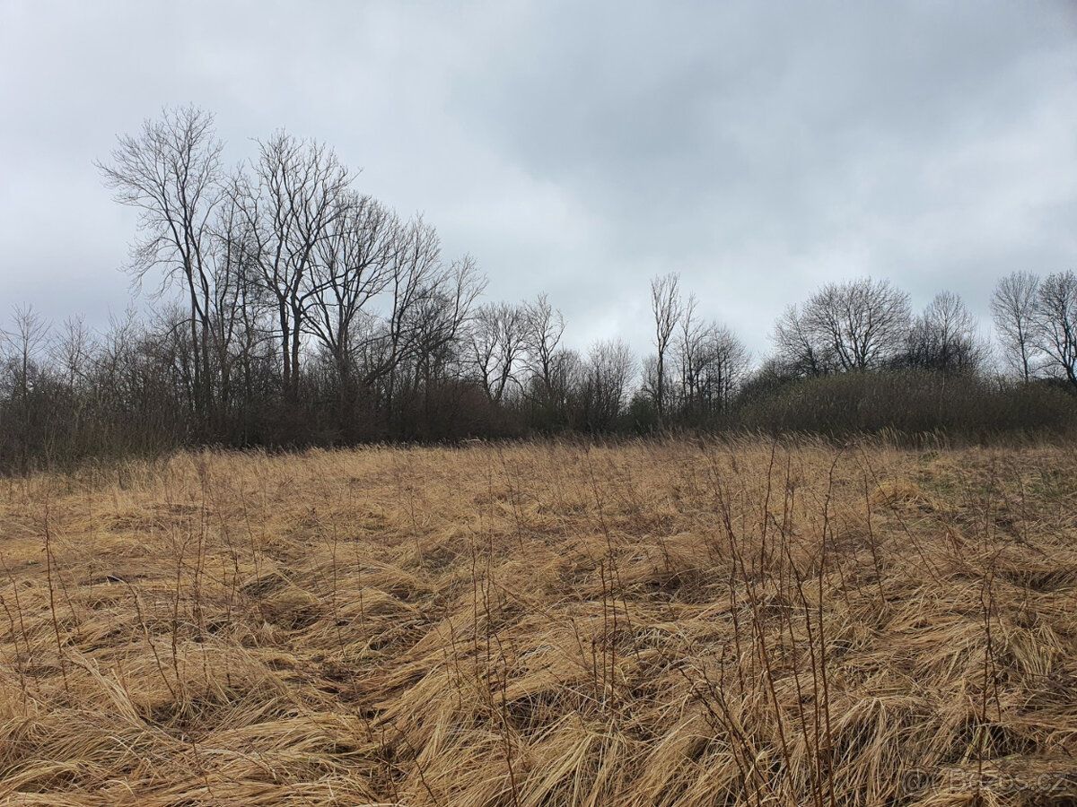 Prodej louky, Bořetín, Česká Lípa. Pozemek o výměře 2105m2 a