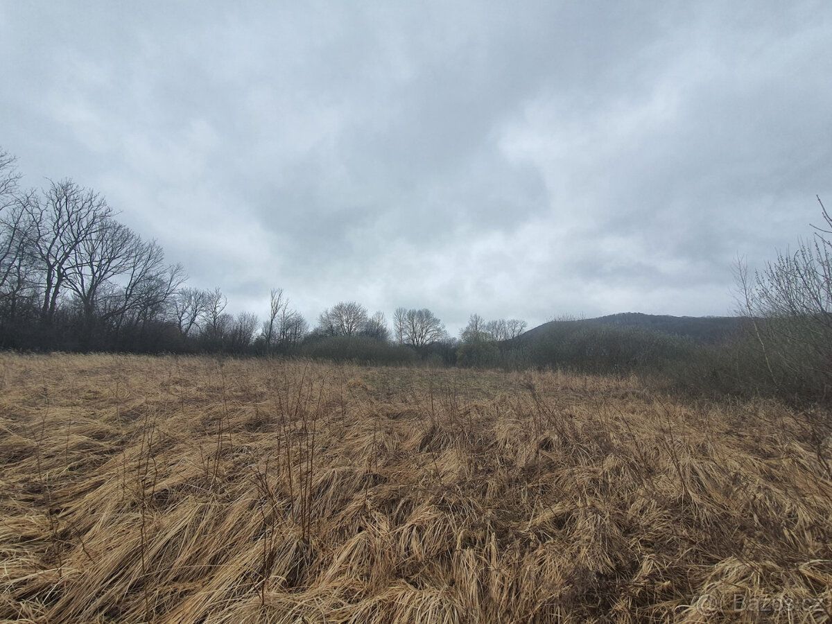 Prodej louky, Bořetín, Česká Lípa. Pozemek o výměře 2105m2 a