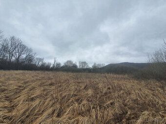 Prodej louky, Bořetín, Česká Lípa. Pozemek o výměře 2105m2 a