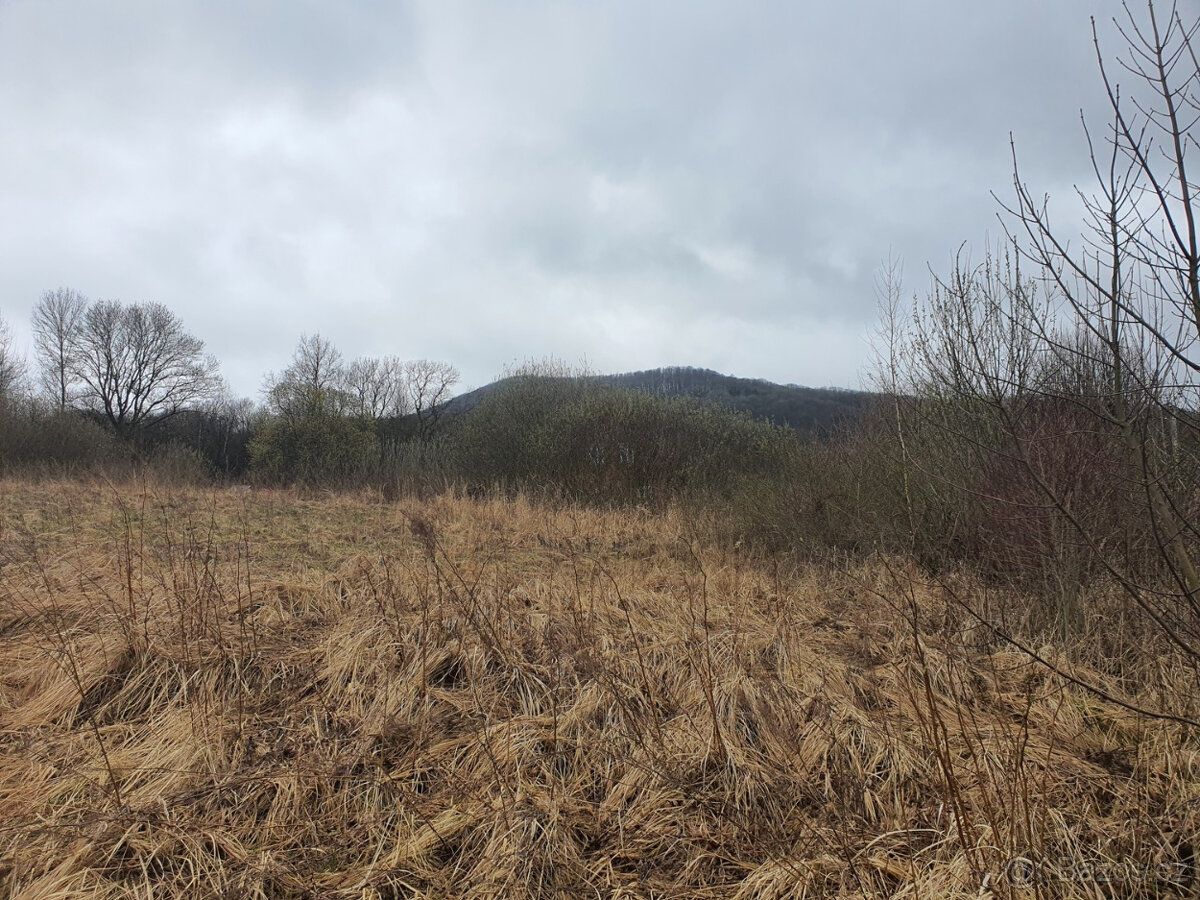 Prodej louky, Bořetín, Česká Lípa. Pozemek o výměře 2105m2 a