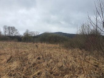 Prodej louky, Bořetín, Česká Lípa. Pozemek o výměře 2105m2 a
