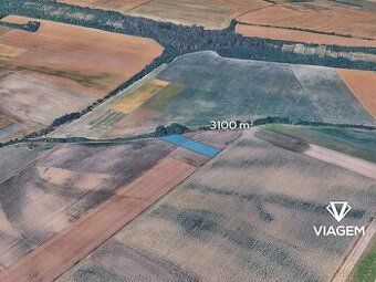 Prodám 2 pozemky v k. ú. Přívory o celkové výměře 2355 m2, j