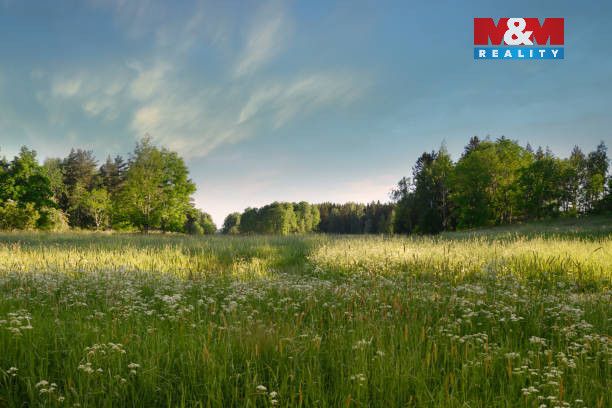 Nabízíme k prodeji rozlehlé louky o celkové ploše 5 225 m² v
