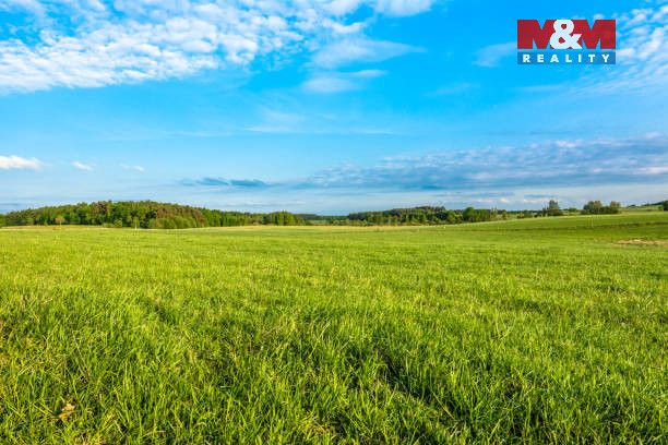 Nabízíme k prodeji rozlehlé louky o celkové ploše 5 225 m² v