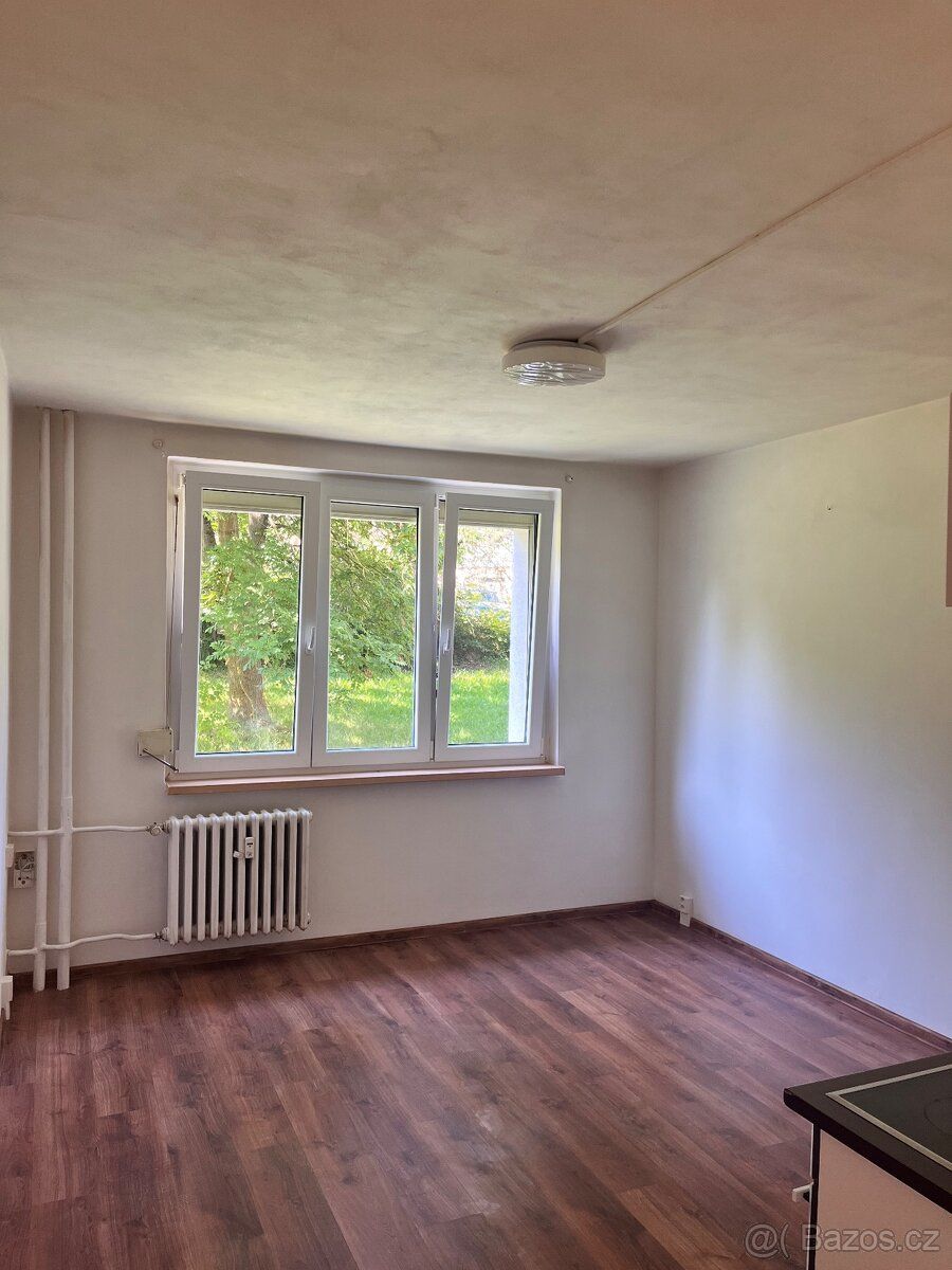 Prodám úspornou garsoniéru (20 m²) po kompletní rekonstrukci