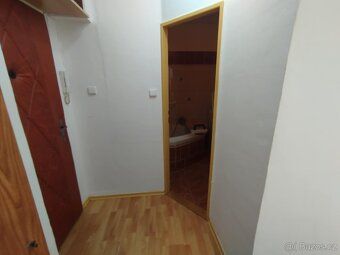 Exkluzivně pronajmu byt o dispozici 1+1, který se nachází na