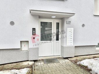 Exkluzivní nabídka dlouhodobého pronájmu, krásného a světléh