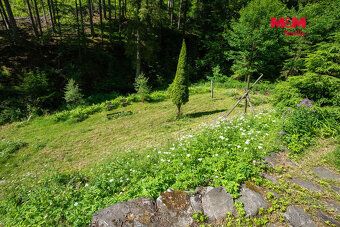 Nabízíme lesní pozemek o výměře 16 805 m² (celková plocha vš