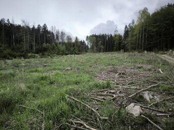 Prodám pozemky:
LV:727 Louňovice pod Blaníkem, pč.1628 (plné