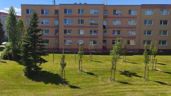 RK NEVOLAT. Nabízím vám pronájem velice pěkného bytu 1 + 1 p