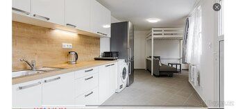 Pronajmu k bydlení/rekreaci novostavbu-atelier v blízkosti U