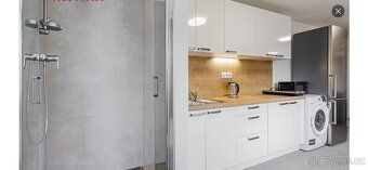 Pronajmu k bydlení/rekreaci novostavbu-atelier v blízkosti U
