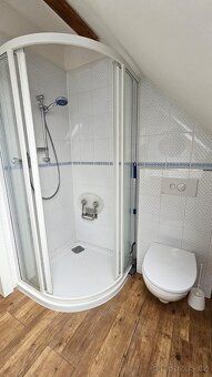 Nabízíme k pronájmu byt o velikosti 1+kk a výměře cca 45 m2 