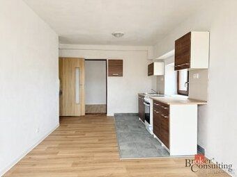 Pronájem, byty/2+kk, 45 m2, Přemyslovců, Jaktař, 74707 Opava