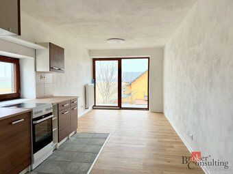 Pronájem, byty/2+kk, 45 m2, Přemyslovců, Jaktař, 74707 Opava