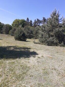 Nabízíme k prodeji pozemek o rozloze 345 m², ideální pro výs