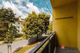 Pronájem, byty/3+1, 76 m2, Zahradní, Východní Předměstí, 326