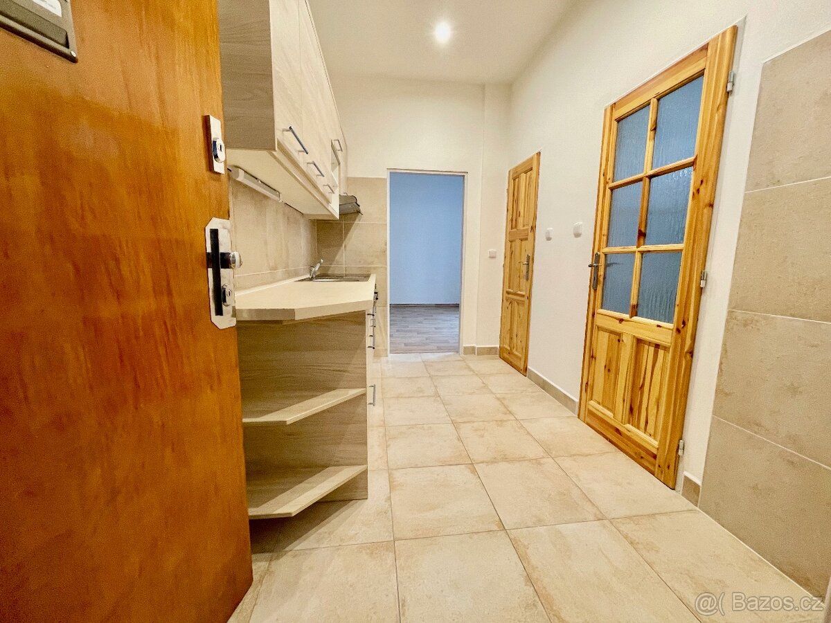 Nabízím k pronájmu byt 1+kk o celkové výměře 31m2, situovaný