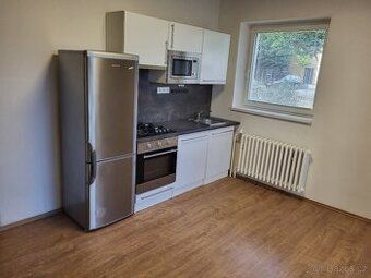 Nabízím k pronájmu byt 1+kk o celkové výměře 31m2, situovaný
