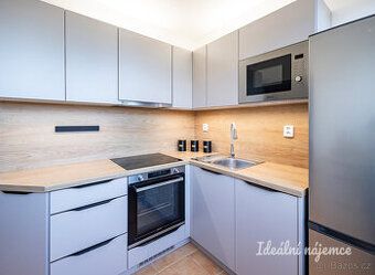 Nabízím k pronájmu byt 1+kk o celkové výměře 31m2, situovaný