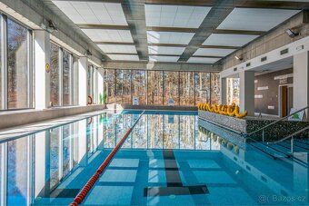 Nabízím k prodeji moderní, slunný apartmán s jižní expozicí 