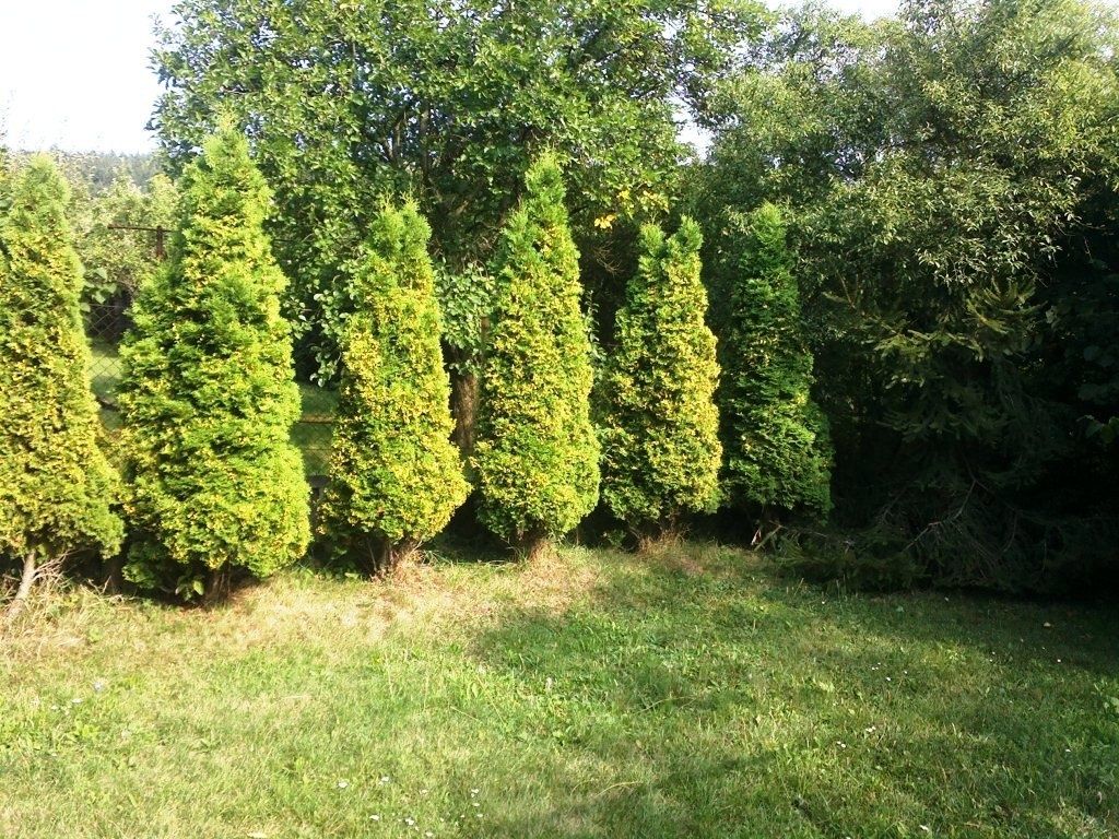 Prodej zahrady 500 m2 v Mohelnici, zděná chatka cca 4 x 3 m.