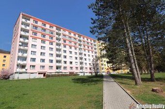 Nabízím k prodeji družstevní byt 1+1 o výměře 35 m2 v oblíbe