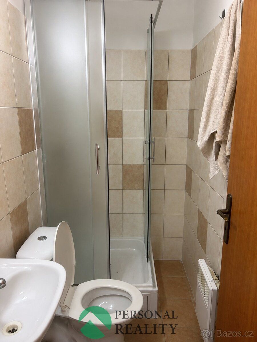 Ev.č. 03163 Nabízíme k pronájmu byt o dispozici 1kk. Menší ú