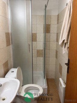 Ev.č. 03163 Nabízíme k pronájmu byt o dispozici 1kk. Menší ú