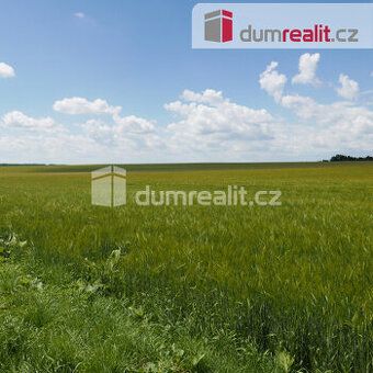 Nabízíme prodej pozemku 11084m2 na okraji obce Bechov u Doln