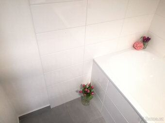 Podnájem bytu v osobním vlastnictví 2+1 50 m2 na ul. Josefa 