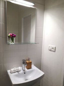Podnájem bytu v osobním vlastnictví 2+1 50 m2 na ul. Josefa 
