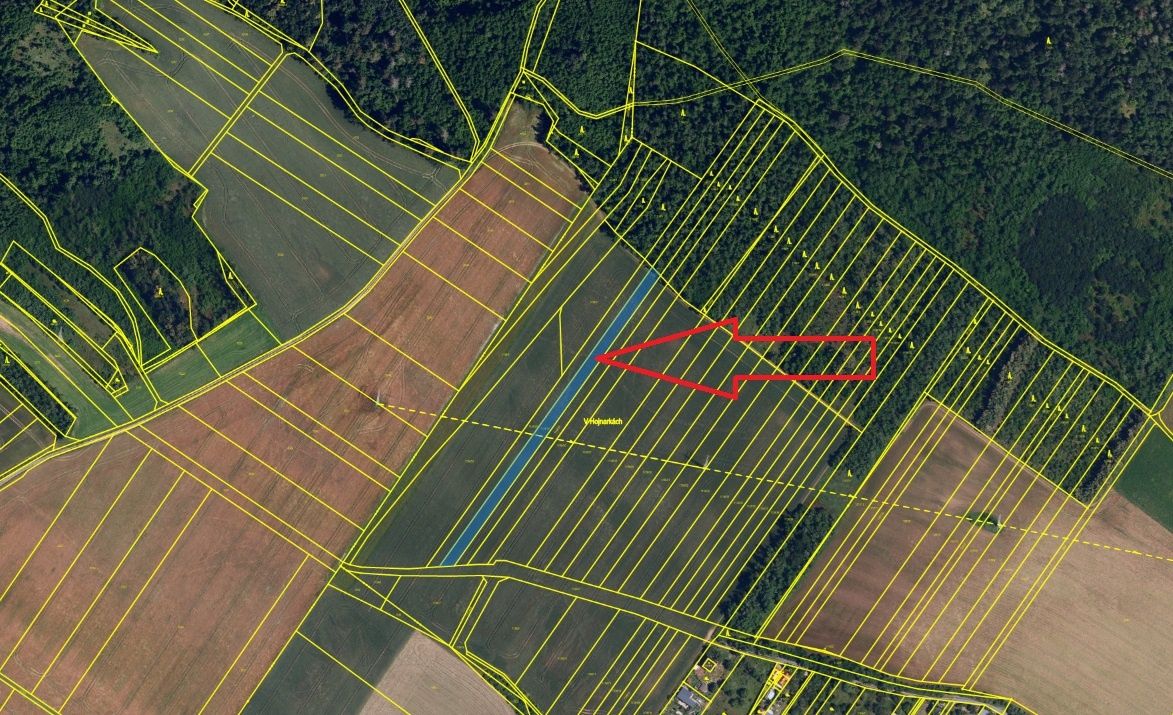 Propachtuji pole - orná půda 2.404 m2. Percelní číslo 1138/2