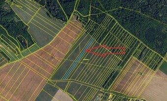 Propachtuji pole - orná půda 2.404 m2. Percelní číslo 1138/2