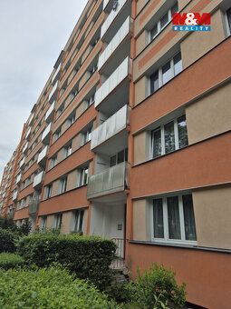 Nabízíme k podnájmu byt 2+1, ulice Svojsíkova, Severní Teras