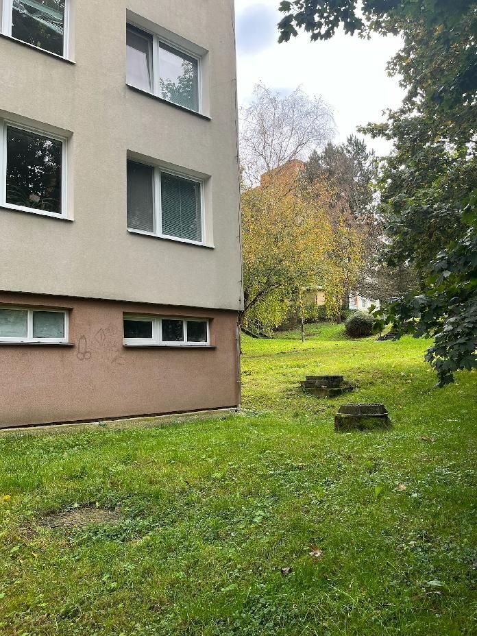 Pronajmu zařízený pokoj v bytě 3+1 studentce nebo pracující 