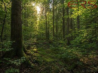 Ev.č. 2025-07-01-16 U nás nakupujete přímo od vlastníka – be