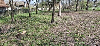 Nabízíme k prodeji soubor pozemků o celkové výměře cca 2 666