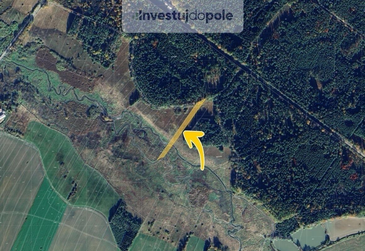 Ev.č. 2025-03-03-2 Již 10 let jsme vaše pravá ruka přes inve