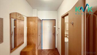 Nabízím k pronájmu byt v dispozici 1+kk s balkonem (cca 4 m²