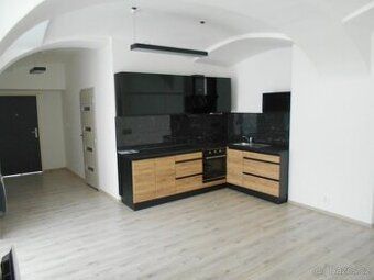 Dlouhodobě pronajmu slunný a teplý byt 1+1 (pokoj s lodžií, 