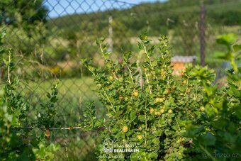 KRAKONOŠ Realtor and Sale of Garden with Cottage Sojka140 for You